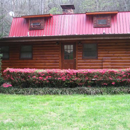 Buffalo Creek Bed And Breakfast Robbinsville Exteriör bild