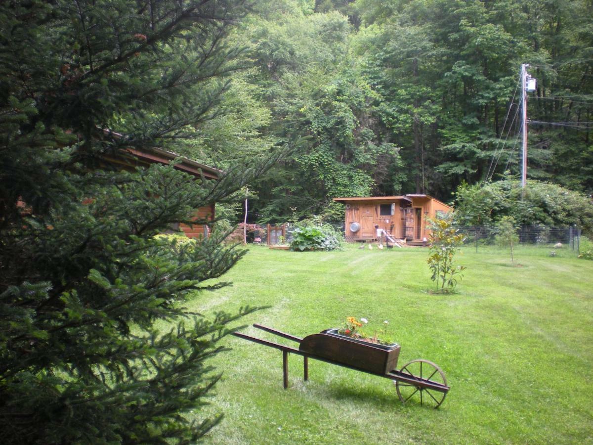Buffalo Creek Bed And Breakfast Robbinsville Exteriör bild